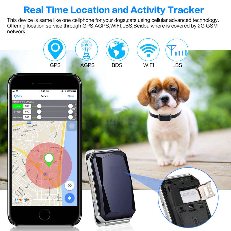 Coleira Inteligente SafeTrack GPS para Cães e Gatos